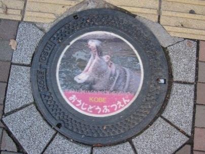 神戸市おうじどうぶつえん汚水管の蓋