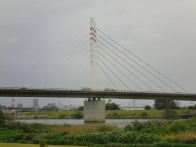 新潟市ときめき橋デザイン