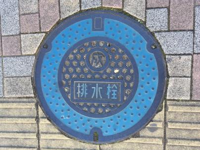 >成田市の排水栓蓋