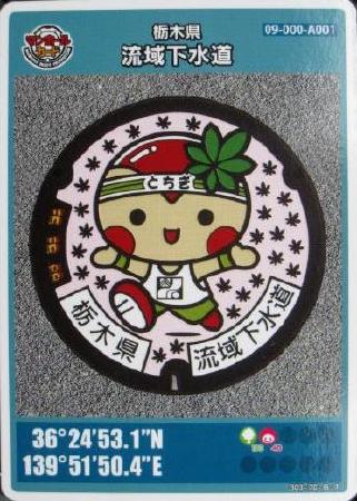 栃木県のマンホールカード